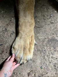 WhatsApp Image 2026-01-19 at 15.49.11