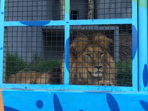 WhatsApp Image 2026-01-19 at 15.47.10