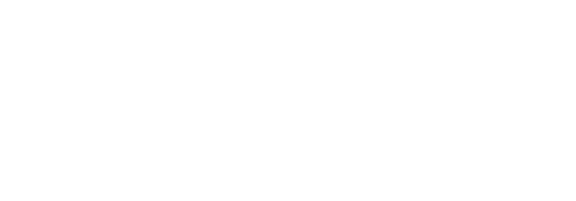 anfep logo branca